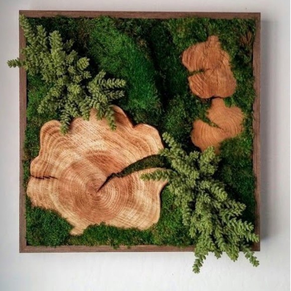 Meet your Posher, Lena - Picture 1 of 1